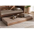 Baxton Studio Veles Twin Size Ash Brown Finished Trundle Bed