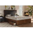 Baxton Studio Elin Queen Dark Gray Upholstered Brown Platform Bed
