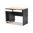Baxton Studio Reed 2-Drawer Multicolor Wood Computer Desk