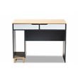 Baxton Studio Reed 2-Drawer Multicolor Wood Computer Desk
