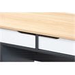 Baxton Studio Reed 2-Drawer Multicolor Wood Computer Desk