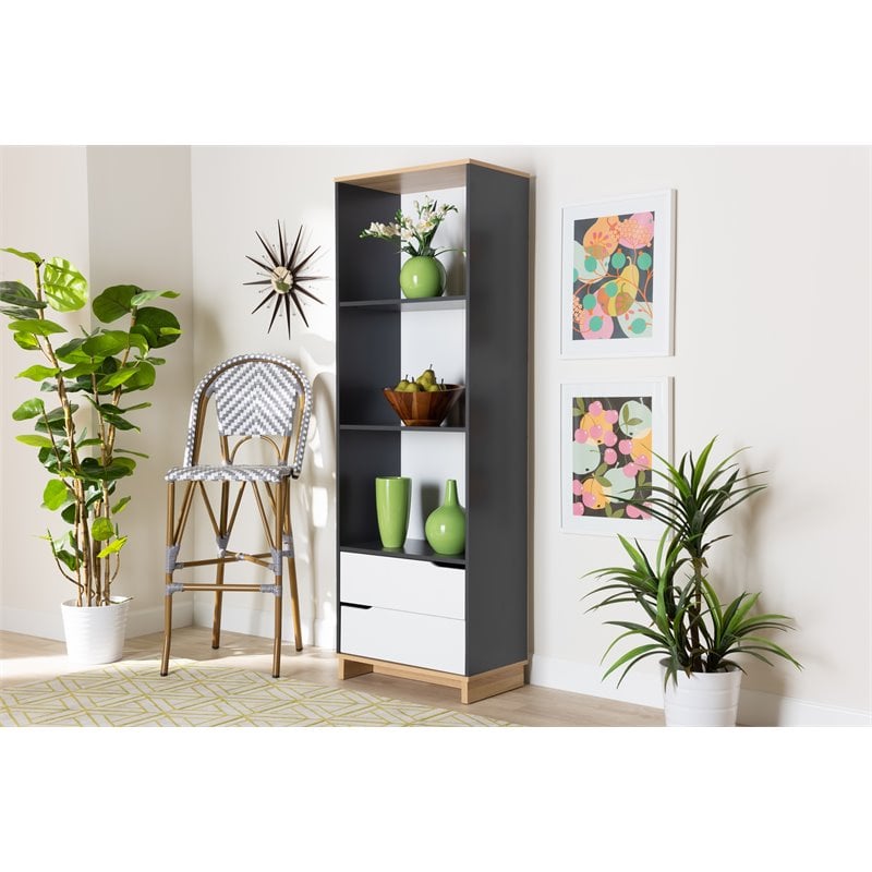 Baxton Studio Reed Multicolor 2-Drawer Wood Living Room Bookshelf