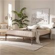 Baxton Studio Iseline Queen Size Oak Finished Wood Platform Bed Frame