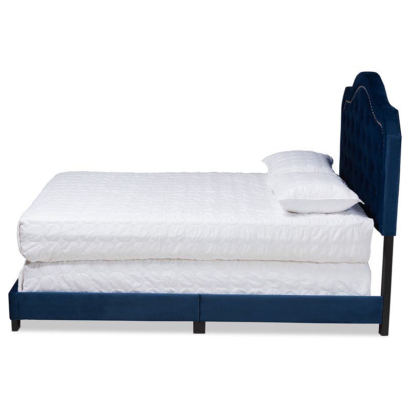 Baxton Studio Samantha Queen Size Navy Blue Velvet Upholstered Button Tufted Bed