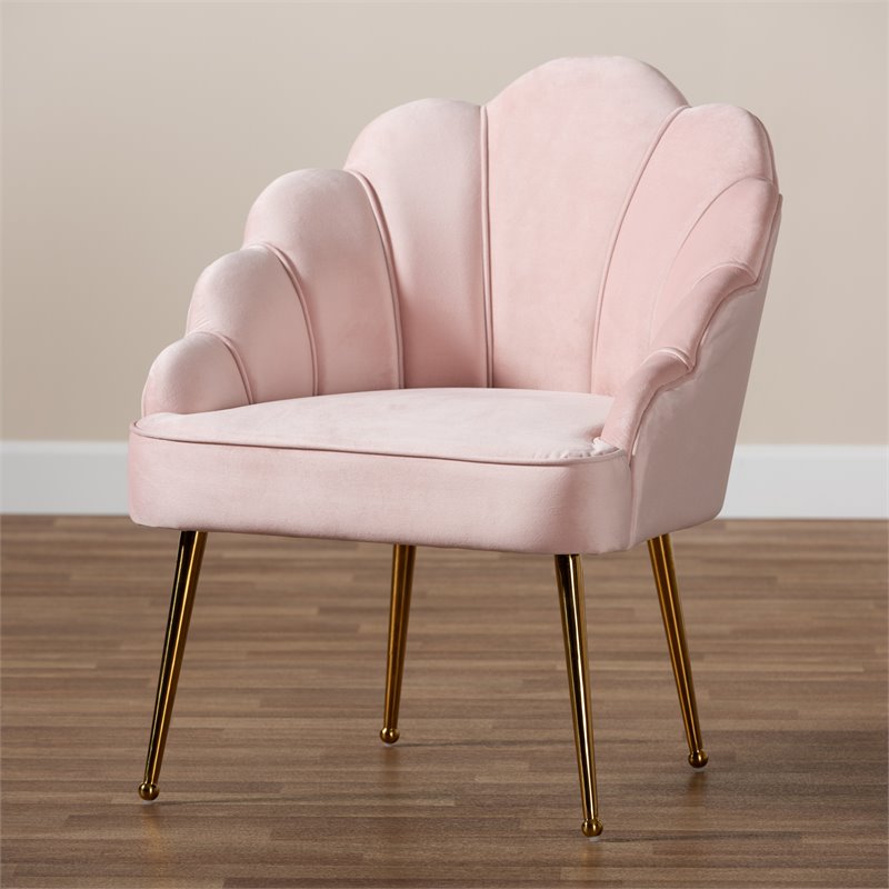 Baxton Studio Cinzia Velvet And Gold Finish Seashell Accent Chair In Light Pink 161 21003 10400 Cymx