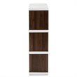 Baxton Studio Rune Two-Tone White and Walnut Finished 2-Drawer Bookcase
