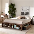 Baxton Studio Arthur Queen Size Ash Walnut  Brown Finished Wood Platform Bed