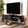 Baxton Studio Naoki Two-Tone Wood 2-Door 50