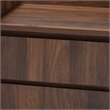 Baxton Studio Hale Walnut Brown Finished Wood 2-Drawer Nightstand