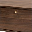 Baxton Studio Edel Walnut Brown and Gold Finished Wood Coffee Table
