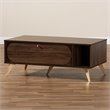 Baxton Studio Edel Walnut Brown and Gold Finished Wood Coffee Table