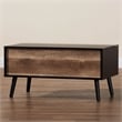 Baxton Studio Two-Tone Black and Brown Finished Wood Table with Storage