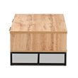 Baxton Studio Franklin Oak Brownand Black 2-Drawer Coffee Table