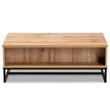 Baxton Studio Franklin Oak Brownand Black 2-Drawer Coffee Table