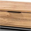 Baxton Studio Franklin Oak Brownand Black 2-Drawer Coffee Table