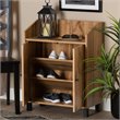 Baxton Studio Rossin Oak Brown Finished Wood 2-Door Entryway Shoe Cabinet