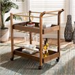 Baxton Studio Tahir Brown and Gold Finished Metal 2-Tier Mobile Bar Cart