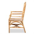Baxton Studio Delta Natural Finished Rattan Armchair