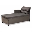 Baxton Studio Darian Grey and Grey Synthetic Rattan 4-Piece Patio Set