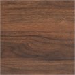 Baxton Studio Salma Walnut Brown Finished Wood 2-Door Shoe Storage Cabinet