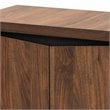 Baxton Studio Talon Brown and Dark Grey Finished 2-Door Shoe Storage Cabinet