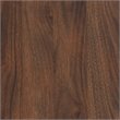 Baxton Studio Raina Brown and Black Finished Wood 2-Door Shoe Storage Cabinet