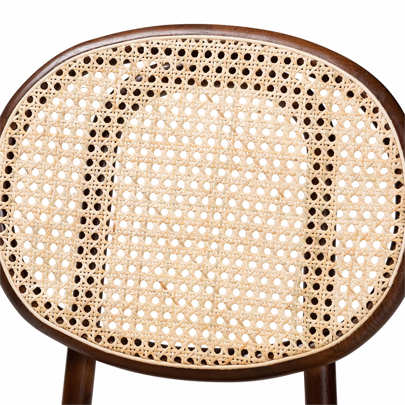 Baxton Studio Garold Brown and Walnut Brown Wood 2-Piece Cane Dining Chair Set