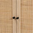 Baxton Studio Ardon Light Brown Finished Wood and Metal 2-Door Storage Cabinet