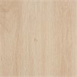 Baxton Studio Ardon Light Brown Finished Wood and Metal 2-Door Storage Cabinet