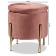 Baxton Studio Malina Pink Velvet and Gold Finished Metal Storage Ottoman