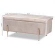 Baxton Studio Rockwell Grey Velvet and Gold Finished Metal Storage Bench