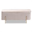 Baxton Studio Rockwell Grey Velvet and Gold Finished Metal Storage Bench