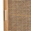 Baxton Studio Maclean Rattan and Natural Brown Finished Wood 1-Door End Table