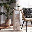 Baxton Studio Seanna Multi-Colored Wood 4-Drawer Storage Unit
