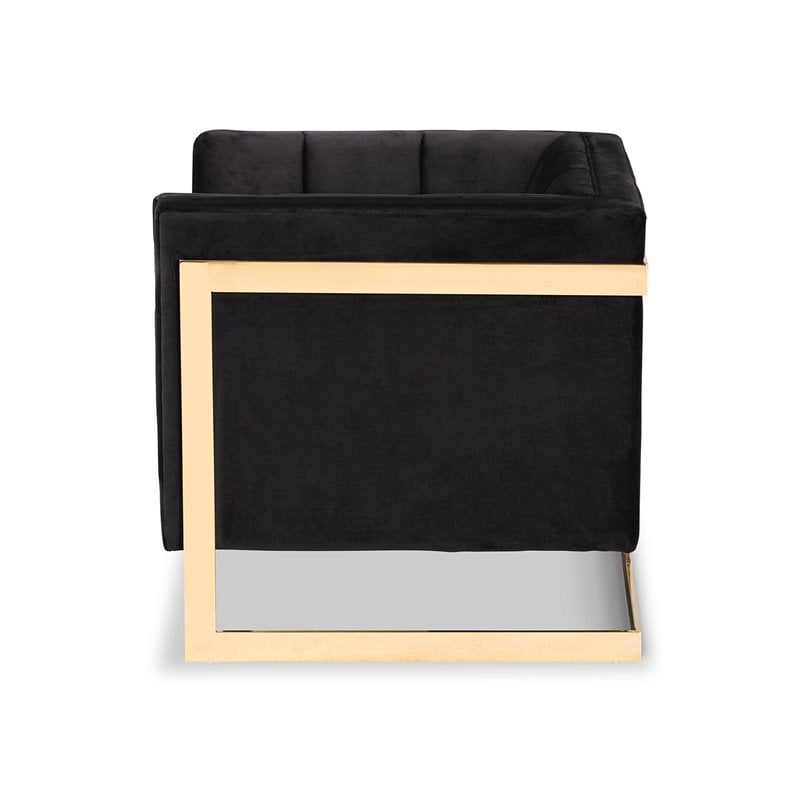 Baxton Studio Ambra Black Velvet and Button Tufted Armchair with Gold-Tone Frame