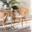 Baxton Studio Varick Modern Brown Finished Rattan Dining Chair