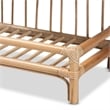 Baxton Studio Liora Modern Bohemian Brown Finished Rattan 2-Tier Display Shelf