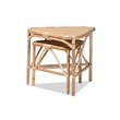 Baxton Studio Jayden Modern Bohemian  Brown  Rattan 2-Piece End Table Set