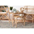 Baxton Studio Jayden Modern Bohemian  Brown  Rattan 2-Piece End Table Set