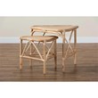 Baxton Studio Jayden Modern Bohemian  Brown  Rattan 2-Piece End Table Set