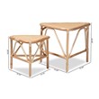 Baxton Studio Jayden Modern Bohemian  Brown  Rattan 2-Piece End Table Set