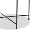 Baxton Studio Ivana Contemporary Black Metal Plant Stand