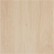 Baxton Studio Sebille Light Brown  Wood 2-Door TV Stand with Natural Rattan