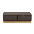 Baxton Studio Cormac Transitional Wood and Gold Metal 2-Drawer Coffee Table