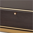 Baxton Studio Cormac Transitional Wood and Gold Metal 2-Drawer Coffee Table