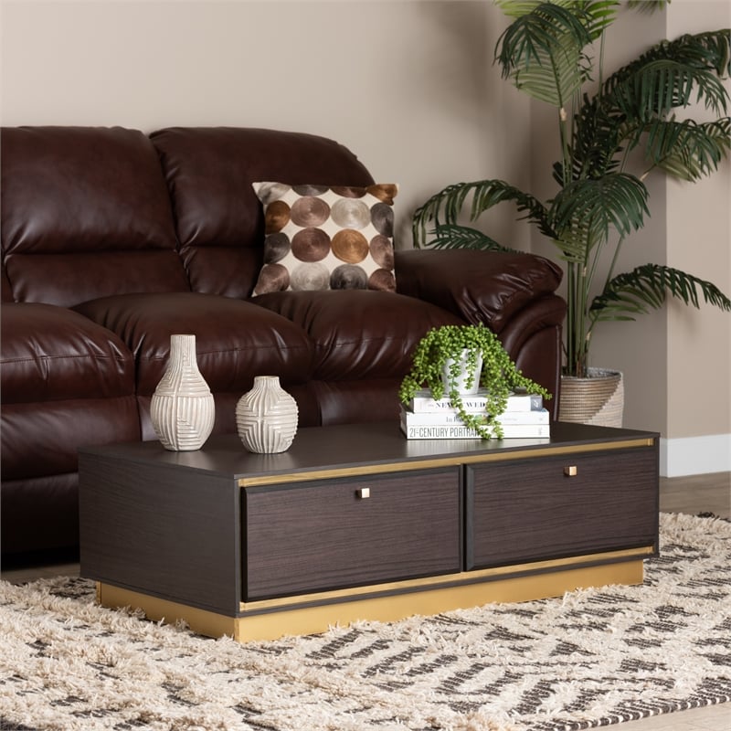 Baxton Studio Cormac Transitional Wood and Gold Metal 2-Drawer Coffee Table