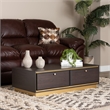 Baxton Studio Cormac Transitional Wood and Gold Metal 2-Drawer Coffee Table