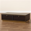 Baxton Studio Cormac Transitional Wood and Gold Metal 2-Drawer Coffee Table