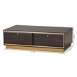 Baxton Studio Cormac Transitional Wood and Gold Metal 2-Drawer Coffee Table
