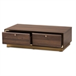 Baxton Studio Cormac Transitional  Wood and Gold Metal 2-Drawer Coffee Table